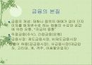 화폐의 개념과 기능 15페이지