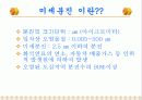 대기분진이 건강에 미치는 영향과 저감대책 3페이지