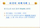 대기분진이 건강에 미치는 영향과 저감대책 5페이지