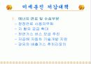 대기분진이 건강에 미치는 영향과 저감대책 10페이지