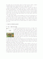 북한영화에 대한 모든 것 (2007년  추천 우수 레포트 선정) 8페이지