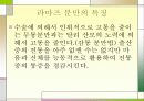 분만의 종류 12페이지
