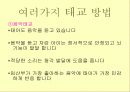 아이Q,이Q,태교Q 4페이지