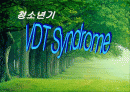 VDT 증후군 파워포인트 1페이지