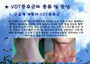 VDT 증후군 파워포인트 4페이지