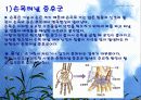 VDT 증후군 파워포인트 5페이지