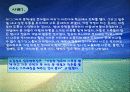 VDT 증후군 파워포인트 13페이지