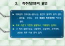 척추측만증 파워포인트 4페이지