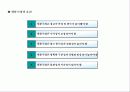 STP(Segmentation, Targeting, Positioning)전략 5페이지