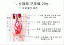 방광재활과 요실금 3페이지