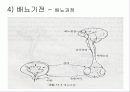방광재활과 요실금 7페이지