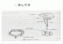 방광재활과 요실금 8페이지