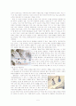 19세기 서울의 사랑 절화기담, 포의교집 5페이지