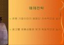[마케팅] SK 텔레콤 이동전화 011 커뮤니케이션 계획 8페이지