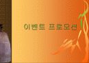 [마케팅] SK 텔레콤 이동전화 011 커뮤니케이션 계획 13페이지