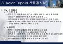 건축공사관리 28페이지