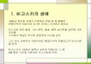 비고스키 파워포인트 3페이지