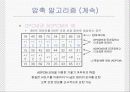 압축에 대해서… 29페이지