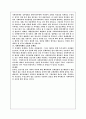 사회복지세 도입 2페이지