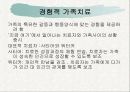 [가족 상담 치료] 가족치료의 정의와 다양한 가족치료 이론 분석 및 상담사례 22페이지