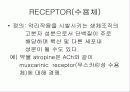 약리학의 정의, 원리, 역사에 관한 팀프로젝트// 정리 잘되있습니다 32페이지