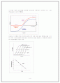 Real-time PCR (실시간 중합효소연쇄반응) 4페이지