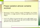 환경에 따른 유전자 발현의 메카니즘 5페이지