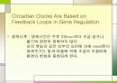 환경에 따른 유전자 발현의 메카니즘 12페이지