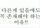 특별한 자기소개서 85페이지
