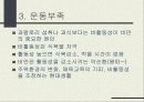 비만과 운동에 대해 17페이지