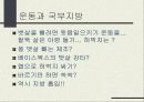 비만과 운동에 대해 23페이지