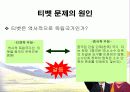 티벳과 중국의 집단 갈등 12페이지