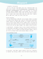 과거, 현재의 전자상거래 수익모델과 향후 예상되는 전자상거래 수익모델 64페이지
