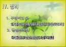 마틴루터 13페이지