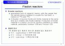 핵분열에 관하여 13페이지