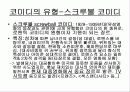 영화의 장르(로맨틱 코미디) 4페이지