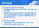 외부효과 14페이지