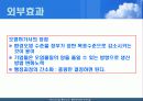 외부효과 16페이지