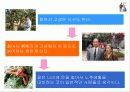 대한민국 노인병원 실태조사 4페이지