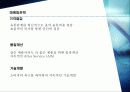 유모차 관련 사업계획서- for rest 18페이지