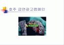 [경영] 광고와 캠페인 - 국내/외의 성공한 캠페인들 25페이지