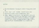 원시주의 3페이지