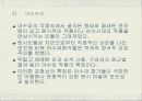 원시주의 7페이지