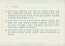 원시주의 17페이지