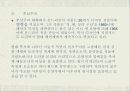 원시주의 20페이지