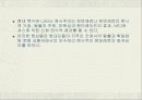 원시주의 23페이지