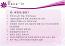 [마케팅] 서비스 보증 연구 (cesco, KT텔레캅, Lufthansa) 32페이지