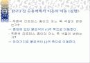 산과염기 11페이지