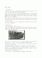 덴탈 임플란트(Dental Implant) 1페이지