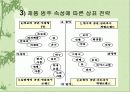 ◈국제기업의 상표(brand) 전략과 사례연구◈ 11페이지